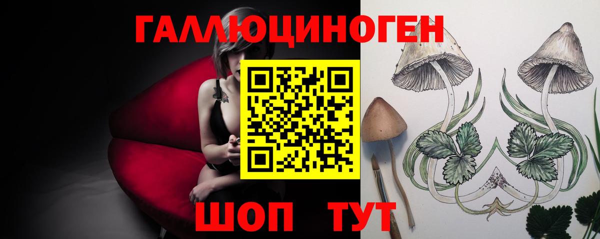 Ульяновск  Псилоцибиновые грибы Cubensis  Вход с VPN 